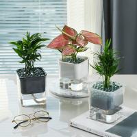 uploads/erp/collection/images/Home Garden/lingjiao/XU0624122/img_b/XU0624122_img_b_1